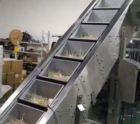 خط تعبئة وتغليف الحبوب